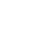 Icon showing the number 20 on a calendar