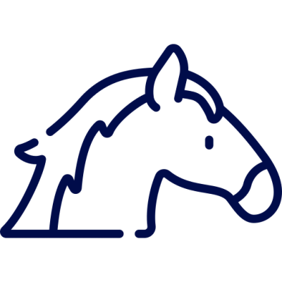 Icon showing a horse