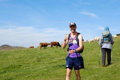 A participant hikes through a field of cows