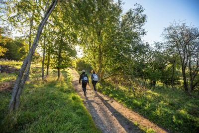 Two participants walk through a woodland area